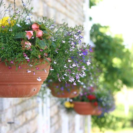 Готель Crossways Веллс Екстер'єр фото Flower pots